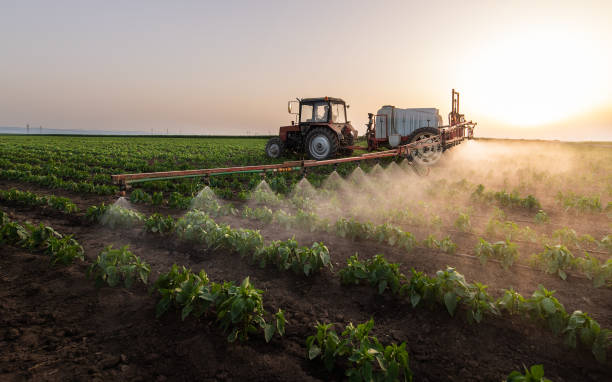 Best Pest Prevention Services  in Alliance, NE