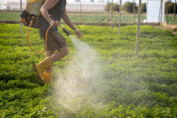 Best Pest Inspection Near Me  in Alliance, NE