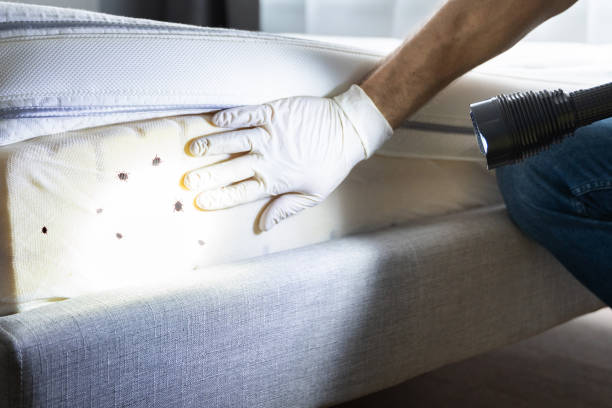 Best Best Pest Control Companies  in Alliance, NE