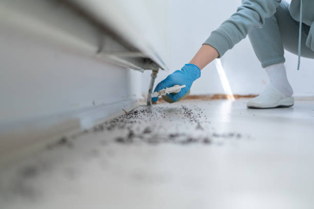 Best Emergency Pest Control  in Alliance, NE